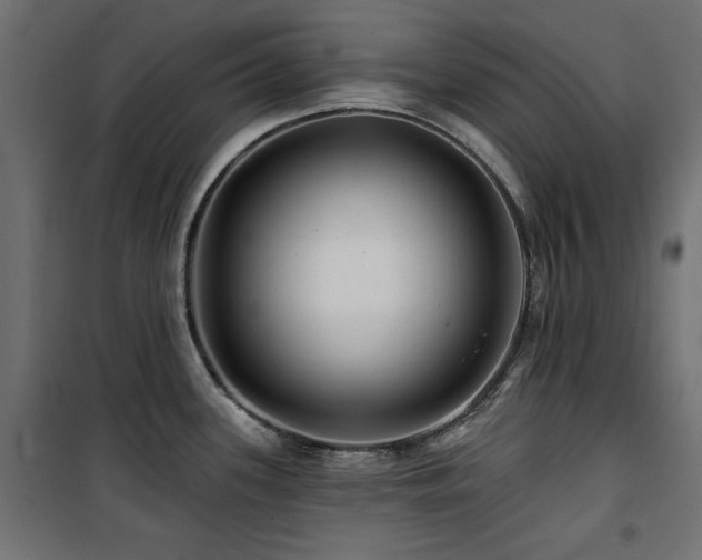 X0000100751339200806191134