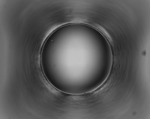 X0000100751340200806191134