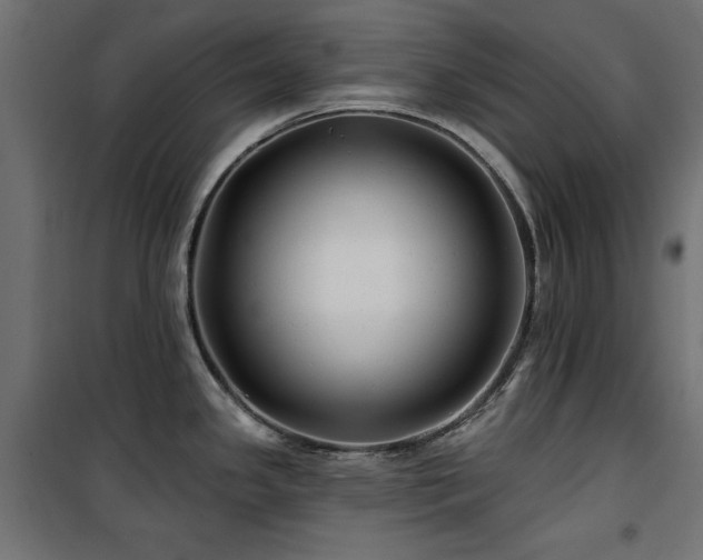 X0000100751341200806191134