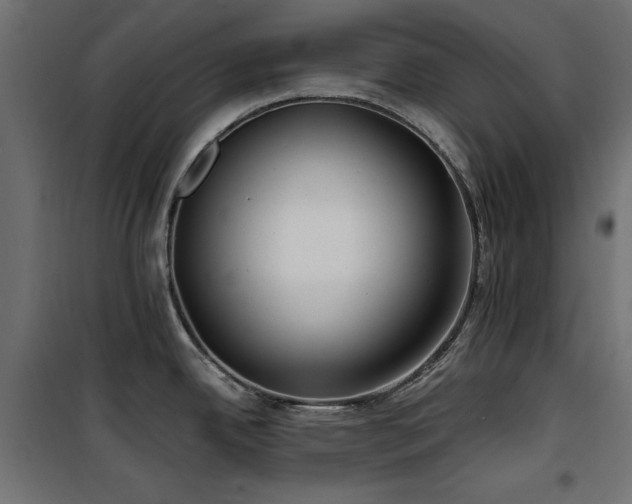 X0000100751342200806191134