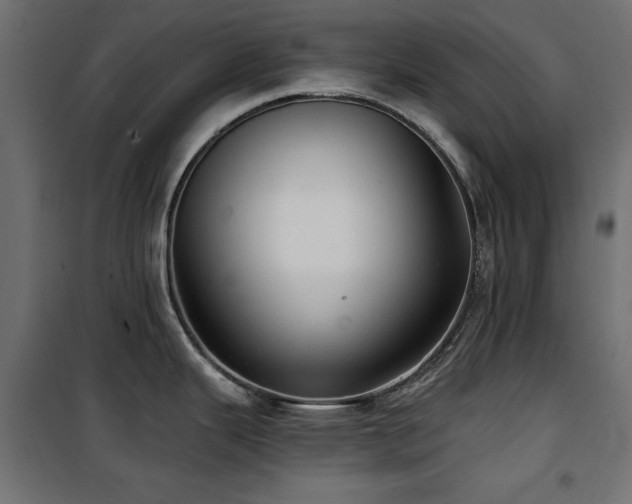 X0000100751343200806191134