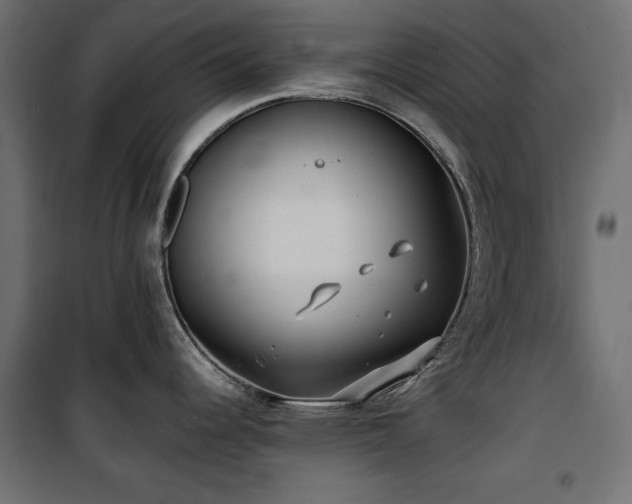 X0000100751344200806191134