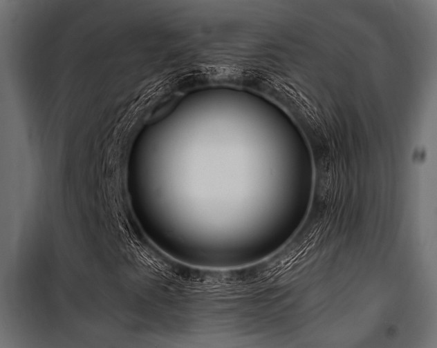 X0000100751345200806191134