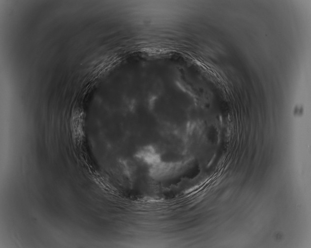 X0000100751346200806191134