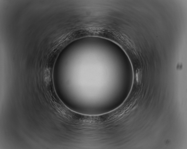 X0000100751347200806191134