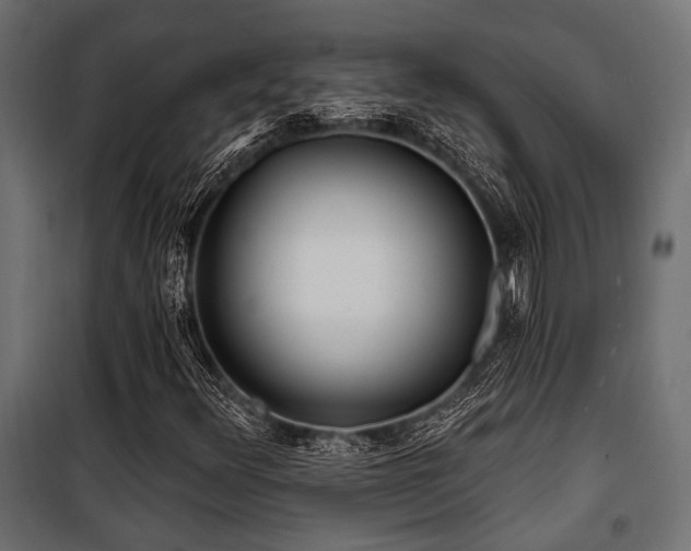 X0000100751348200806191134