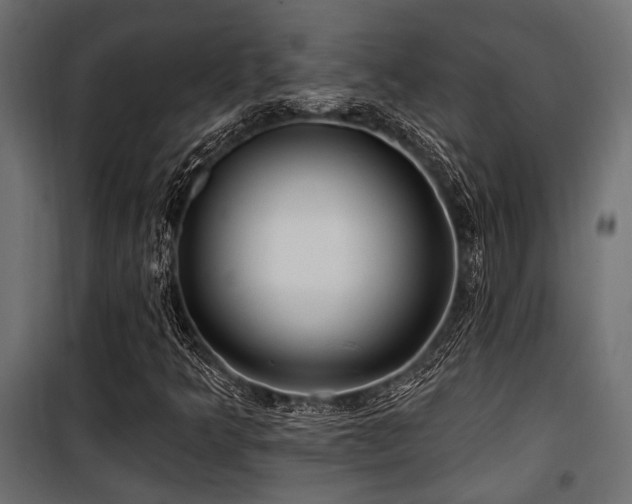 X0000100751349200806191134