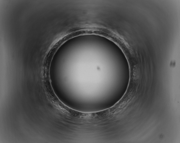 X0000100751352200806191133