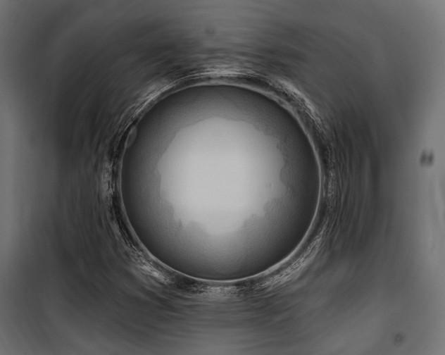 X0000100751353200806191133