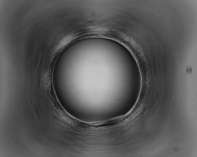 X0000100751354200806191133