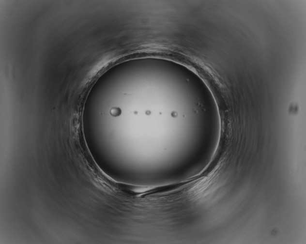 X0000100751355200806191133