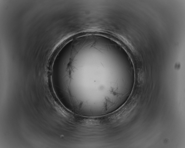 X0000100751356200806191133