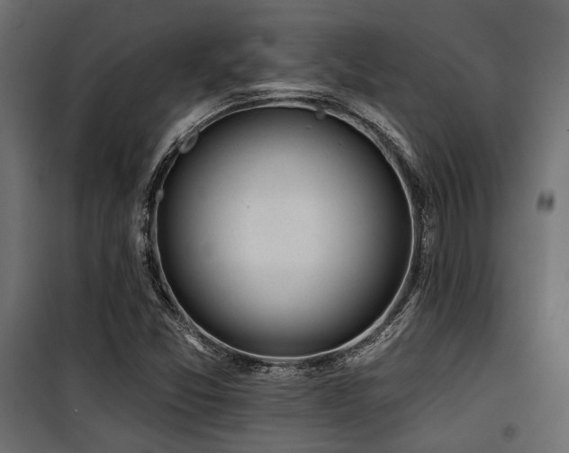 X0000100751357200806191133