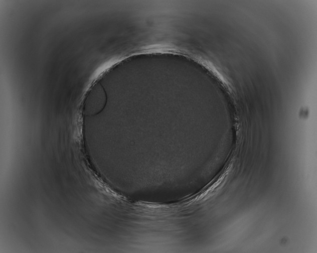 X0000100751358200806191133