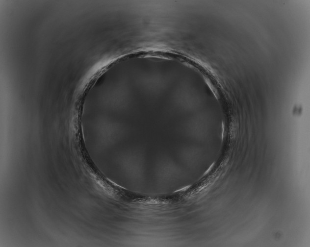 X0000100751359200806191133