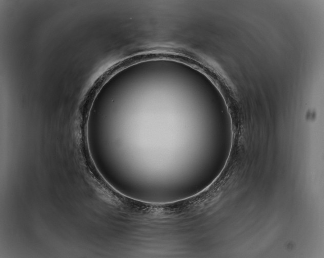 X0000100751360200806191133