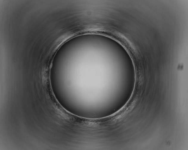 X0000100751361200806191133