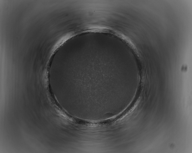 X0000100751362200806191133