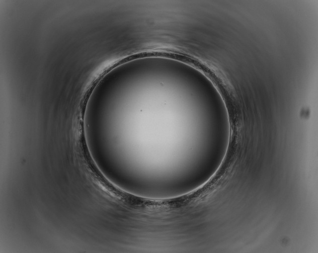 X0000100751363200806191133