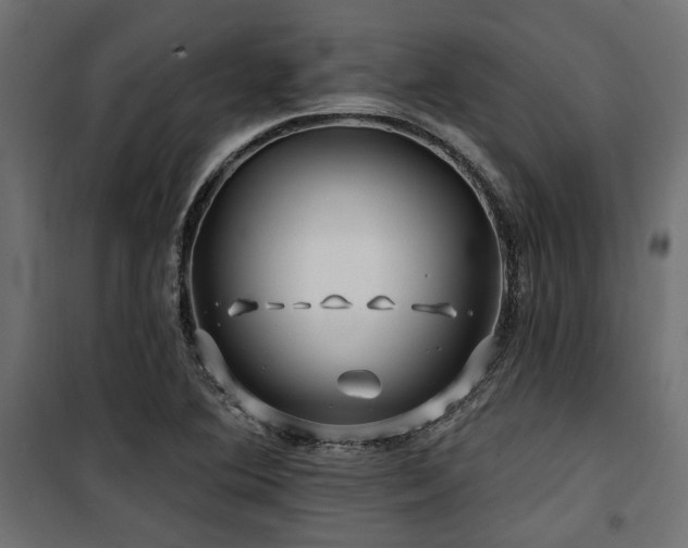 X0000100751364200806191133