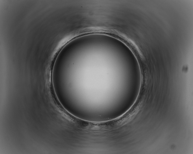 X0000100751365200806191133