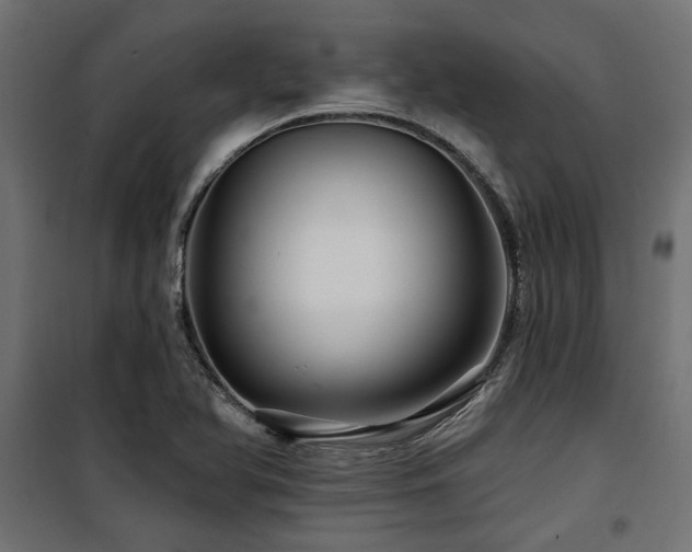 X0000100751366200806191133