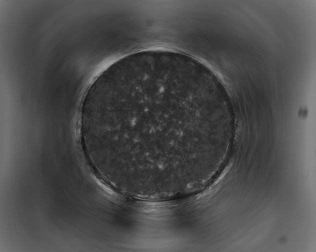 X0000100751367200806191133