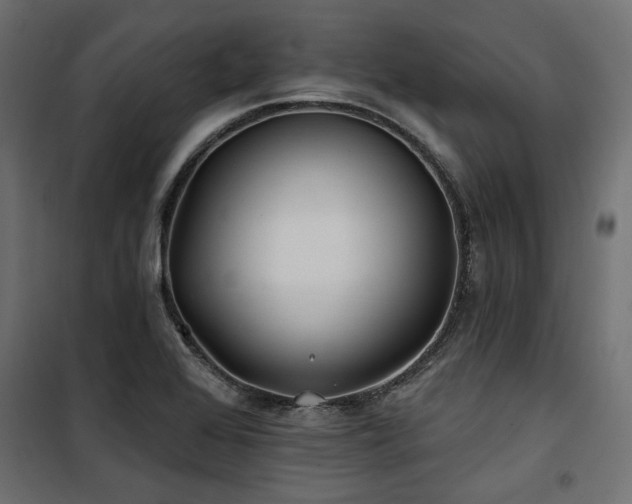 X0000100751368200806191133