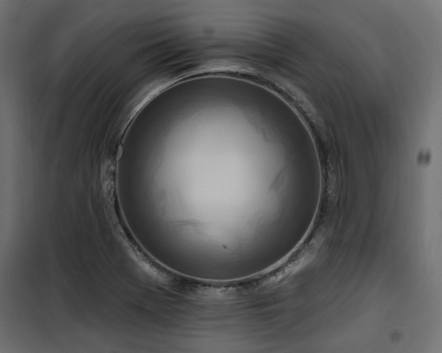 X0000100751369200806191133