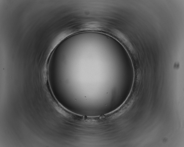 X0000100751370200806191133