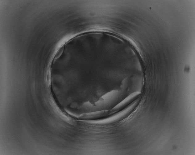 X0000100751371200806191133