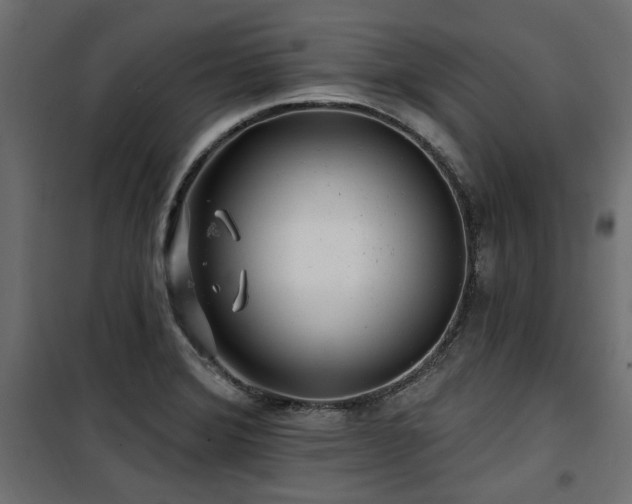 X0000100751372200806191133