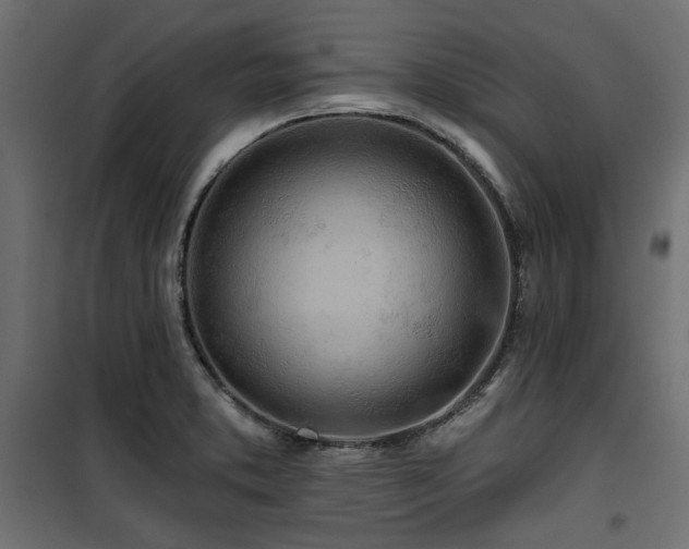 X0000100751373200806191133