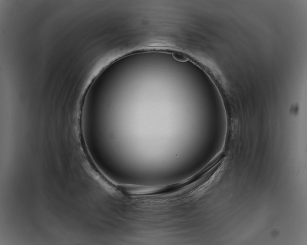 X0000100751374200806191133