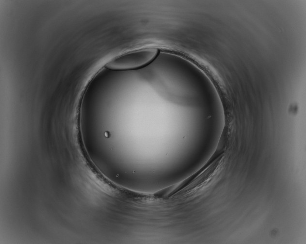 X0000100751375200806191133