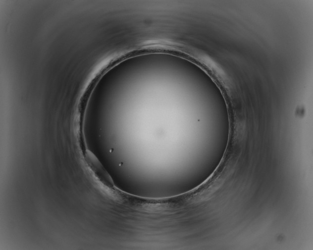 X0000100751376200806191133