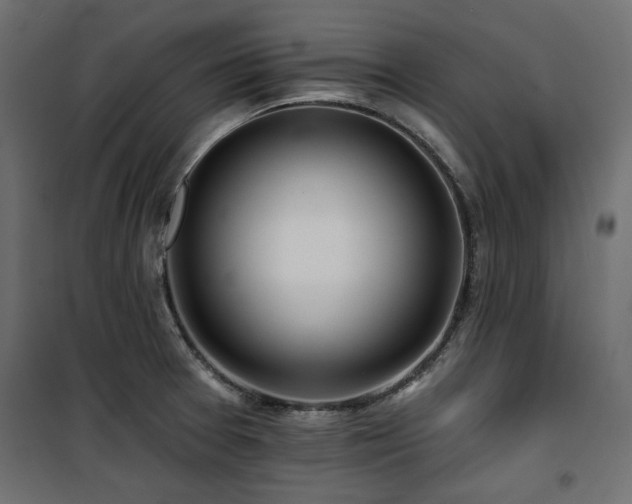 X0000100751377200806191133