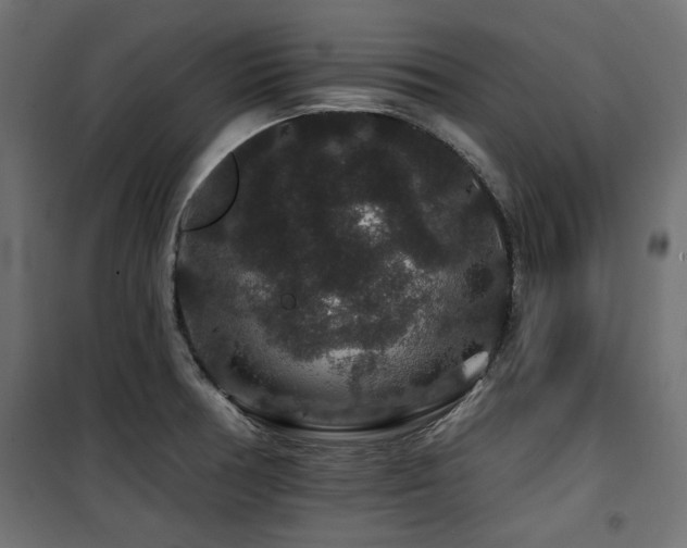 X0000100751378200806191133