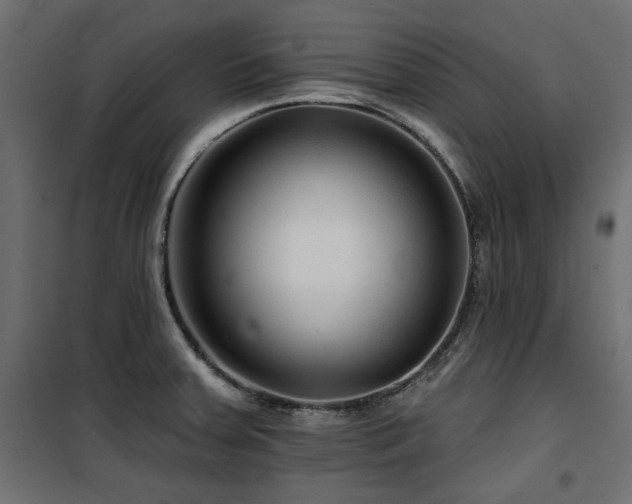 X0000100751379200806191133