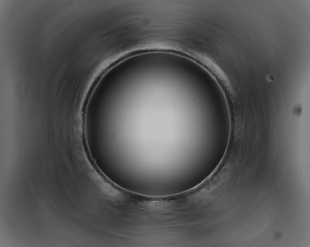 X0000100751380200806191133