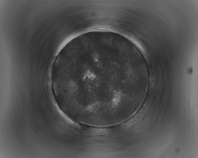 X0000100751382200806191133