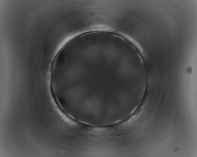 X0000100751383200806191133