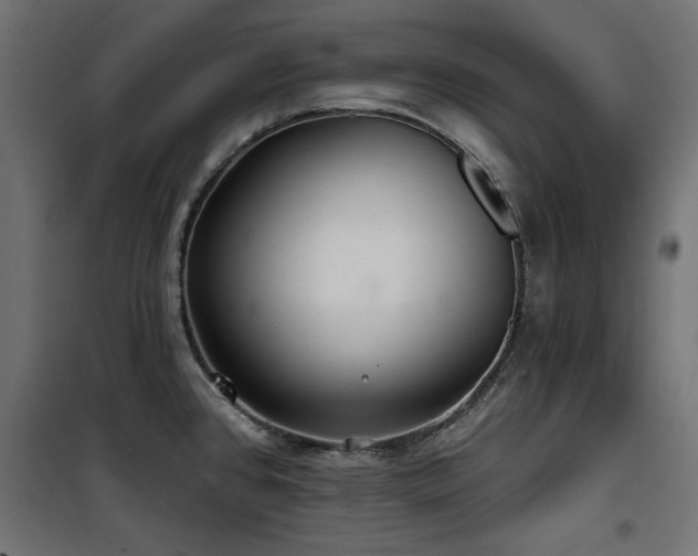 X0000100751384200806191133