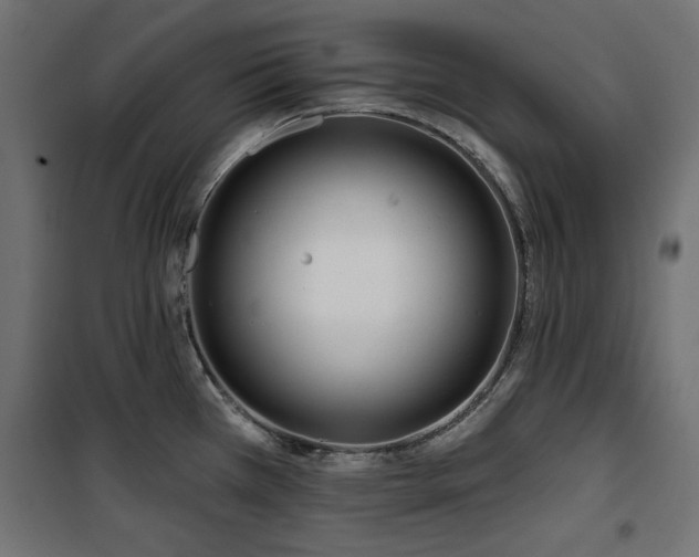 X0000100751385200806191133