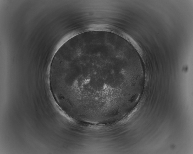 X0000100751386200806191133