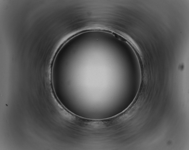 X0000100751388200806191133