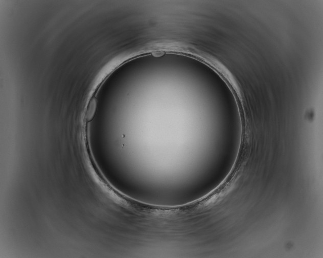 X0000100751389200806191133