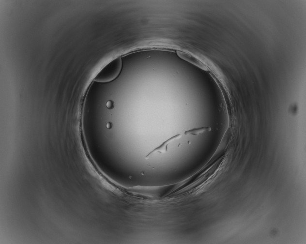 X0000100751390200806191133