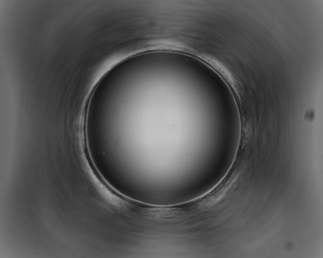 X0000100751391200806191133