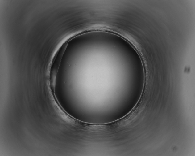 X0000100751392200806191133